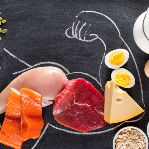 “Unleash the Powerful Benefits of Protein: A Comprehensive Guide”